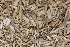 biomass boilers Rhos